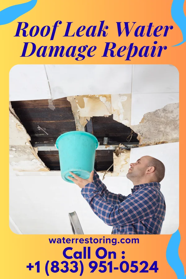 Roof Leak Water Damage Repair in Stinnett, TX